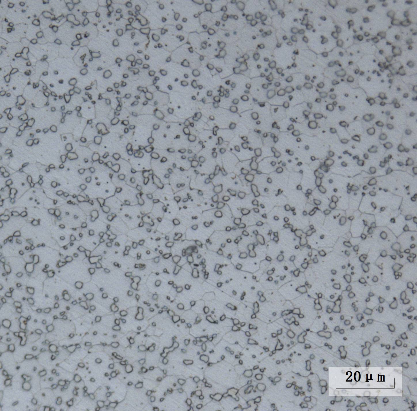 60Si2MnA 1.0冷轧钢带金相图